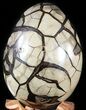Septarian Dragon Egg Geode - Black Crystals #48005-3
